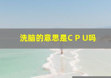 洗脑的意思是C P U吗